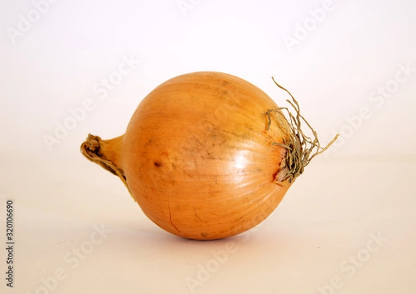 Obraz Onions