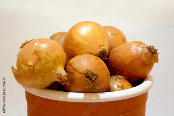 Obraz Onions