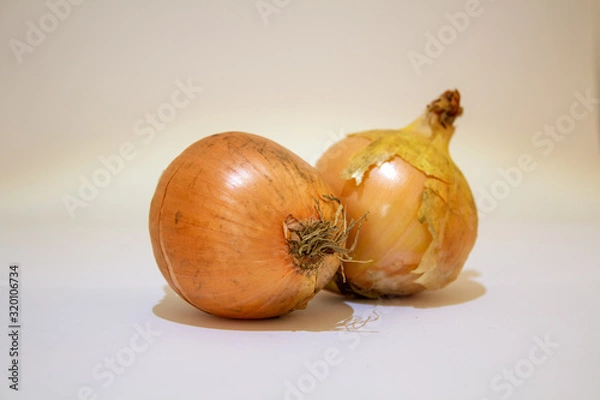 Obraz Onions