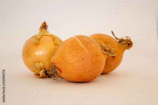 Obraz Onions