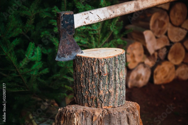 Obraz Ax on a wooden throne ready to cut firewood, background cut firewood and pine tree