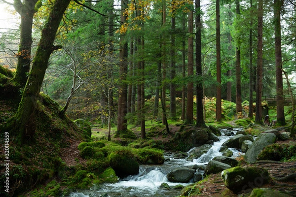 Obraz Wicklow National Park, Ireland