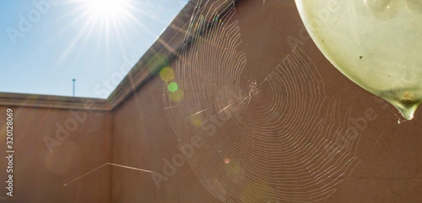 Fototapeta Ragnatela