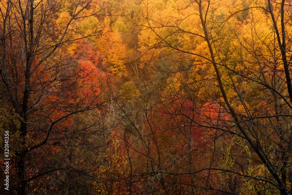 Fototapeta New Direction Fall