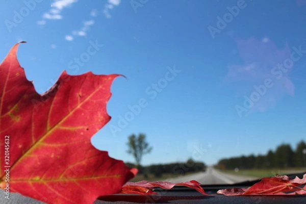 Obraz Ahornblatt Kanada