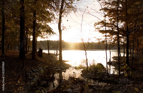 Obraz sunset in the forest