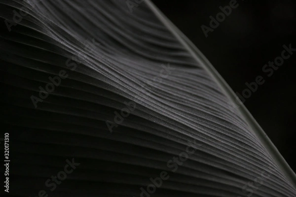 Fototapeta Landscape