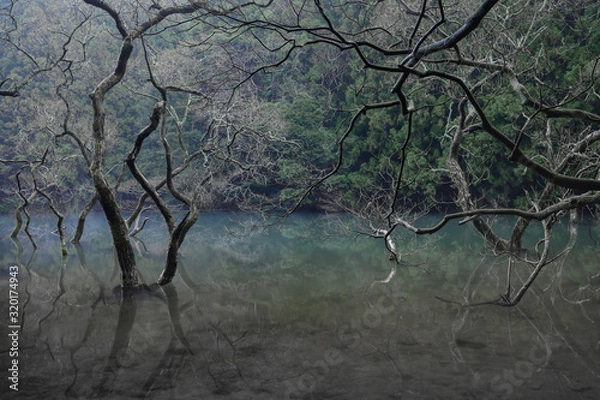 Fototapeta 不動池