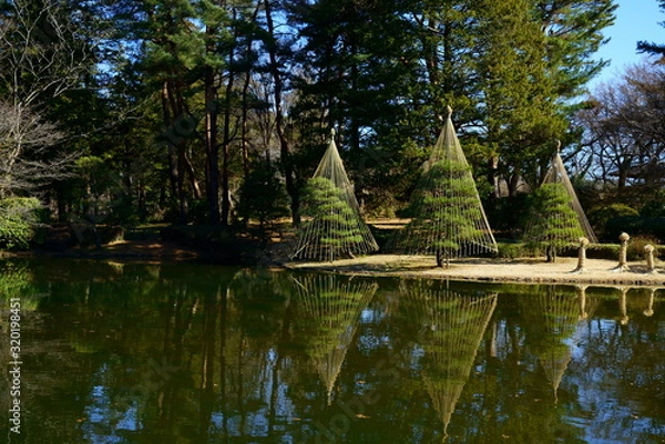 Obraz 雪吊りのある日本の庭の風景