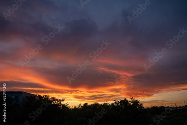 Fototapeta 燃え夕日