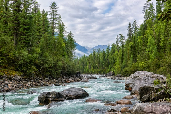 Fototapeta Mountain rivulet in Siberian dark coniferous taiga. August