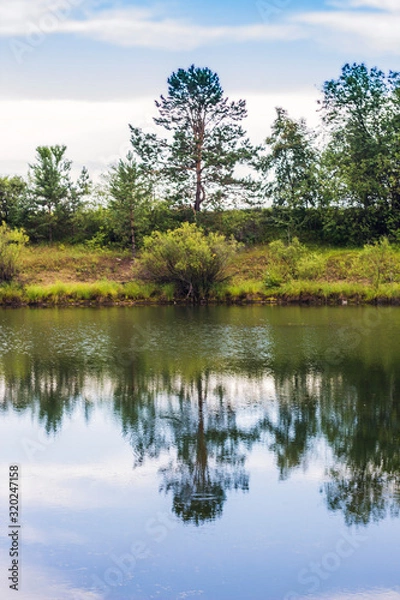 Fototapeta reflection of trees in water