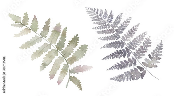 Obraz Flowers watercolor illustration.Manual composition.Big Set watercolor elements.