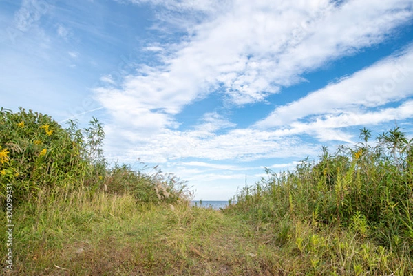 Obraz プライベートビーチへ抜ける小道