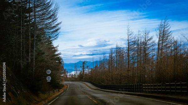 Fototapeta road in winter
