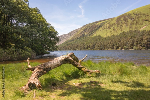 Obraz Upper lake at Glendalough, Co. Wicklow, Ireland