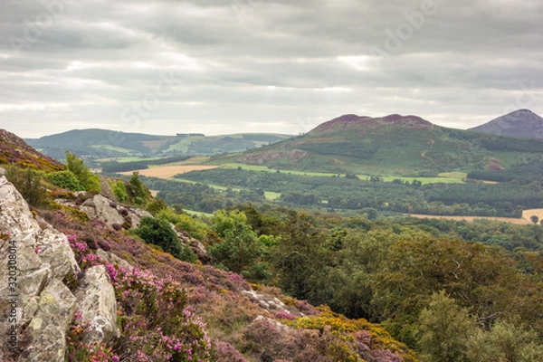 Obraz View of the surrounding landscape from the summit of Bray Head, County Wicklow, Ireland.