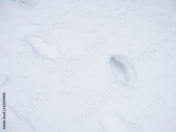 Fototapeta Human footprints in deep snow on sunny day