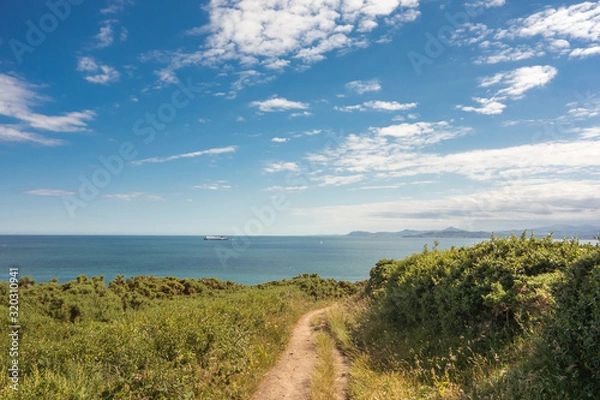Obraz Cliff walk on Howth Head peninsula near Dublin, Ireland. Bray Head can be seen in the distance.