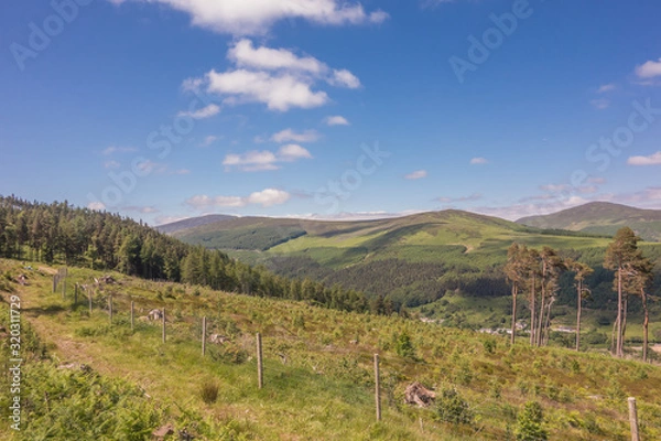Obraz Mountain woodland at Glendalough, Co. Wicklow, Ireland.