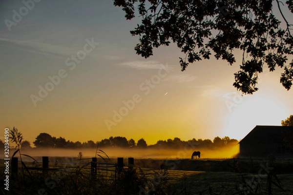 Fototapeta sunrise landscape