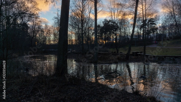 Obraz sunset in forest