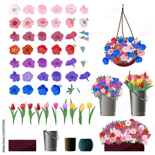 Fototapeta Set of Petunia and Tulip flower buds for making flower arrangements with examples of use in baskets, buckets and pots. Vector illustration in a cartoon,  realistic style isolated on a white background
