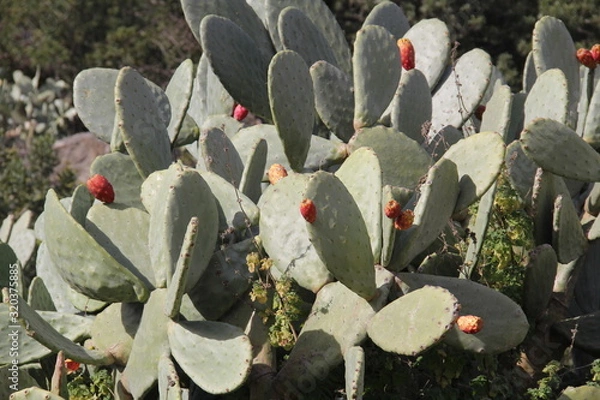 Fototapeta Chulilla, Spain