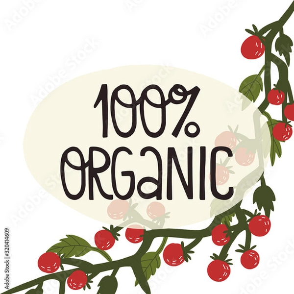 Fototapeta 100 persent organic - card and banner, label design. Fun hand drawn lettering text and tomato vine. Eat local, healthy food concept. Vector illustration on isolated background.