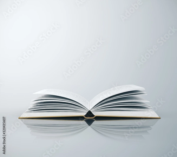 Fototapeta Blank book on white desktop.