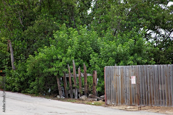 Fototapeta Key Largo 4