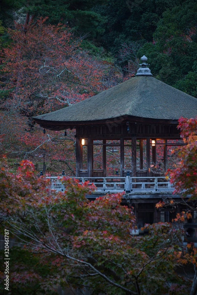 Fototapeta イロハモミジの紅葉と浮見堂の夜明け
