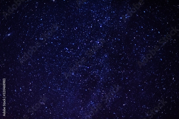 Fototapeta A magical starry night on the river bank with a large tree and a milky way in the sky and falling stars