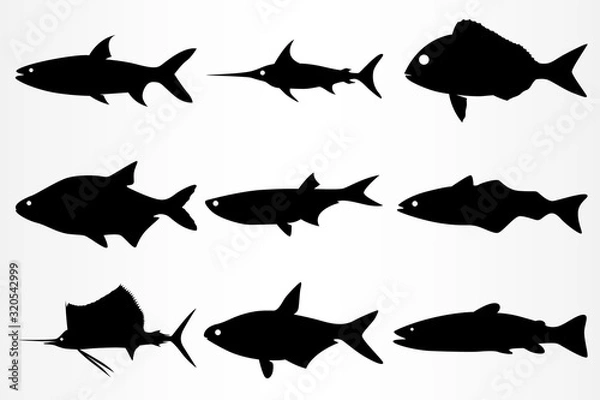 Fototapeta A set of nine different fish icons. Marine and aquarium fish.