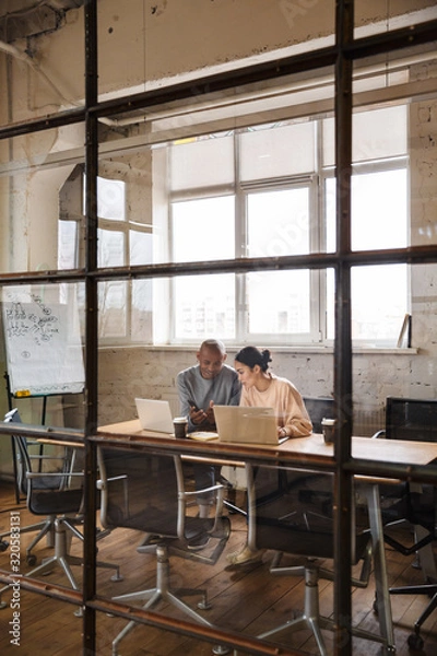 Fototapeta Image of multiethnic young coworkers working on laptops in office
