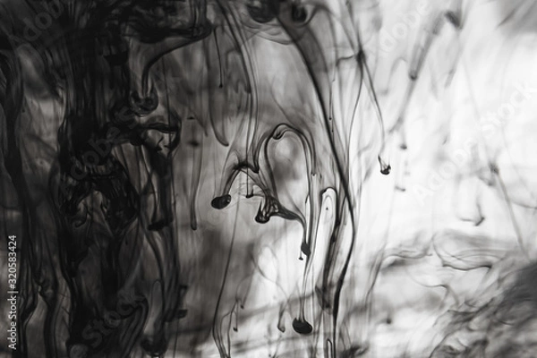 Fototapeta Abstract black and white background: ink effectively spread in the water. Copyspace.