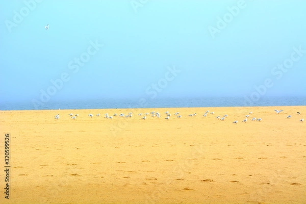 Fototapeta sable, et mer