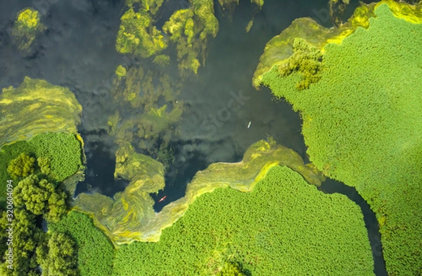 Obraz Aerial view of kayaks in the still watwers of the delta