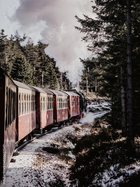 Fototapeta Harz Impressionen
