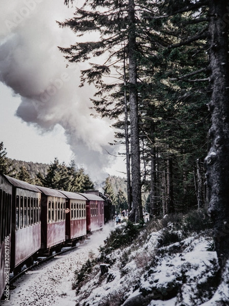 Fototapeta Harz Impressionen