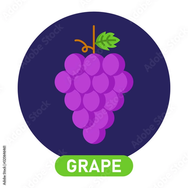 Fototapeta Grape icon. Wine concept. Vector illustration.