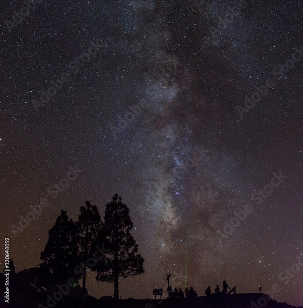 Fototapeta tree and milky way