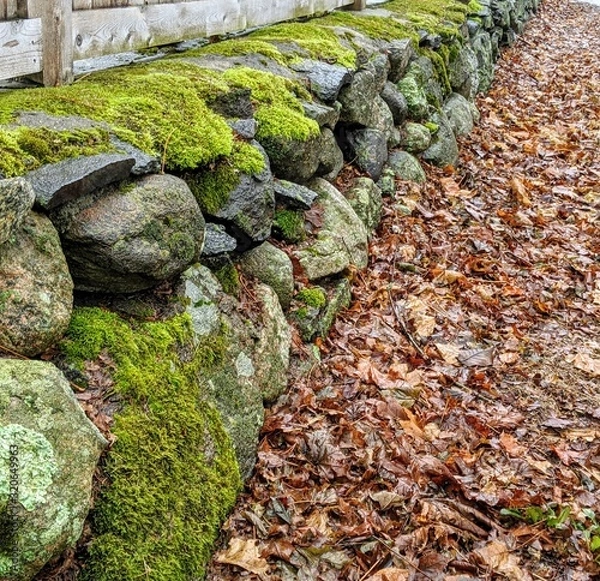 Fototapeta Rock wall in fall
