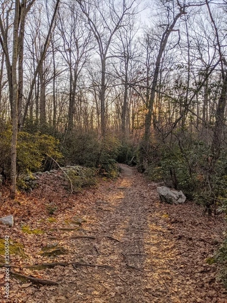 Fototapeta Follow the path