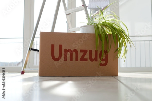Obraz Umzugskarton