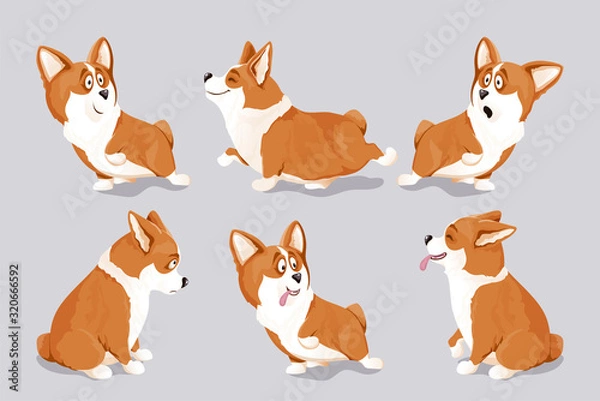 Obraz Corgi dog puppies set. Isolated, hand drawn, vector illustration.