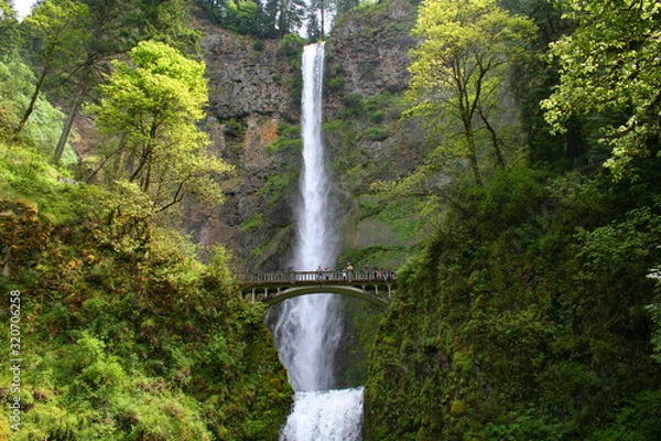 Obraz Multnomah Falls (OR 00134)