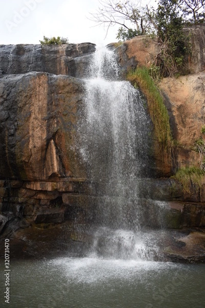 Obraz waterfall in forest