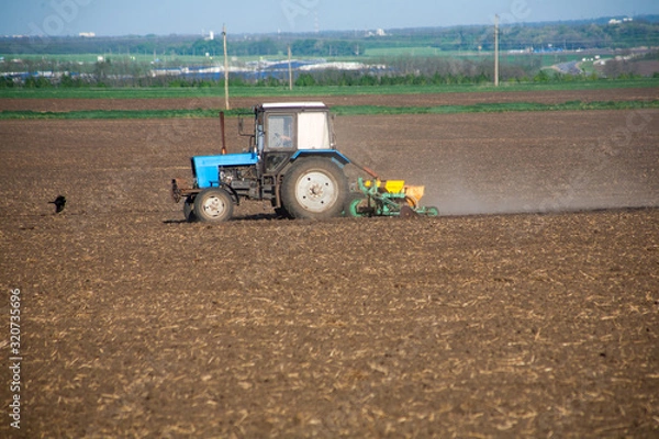 Fototapeta The farmer on the tractor with the attached mechanical seeder sows the seeds on the field