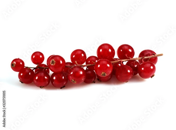 Fototapeta GROSEILLE ROUGE